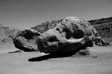 Navajo Dinosaur Head Rock Black and White.jpg