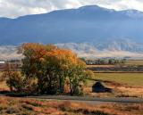 House and Tree by Mountain.jpg