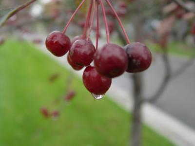 DSC02367.JPG
