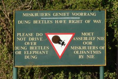 Dung Beetle sign