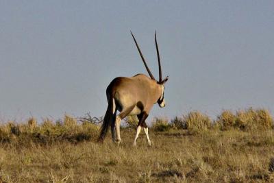 South Africa 2005
