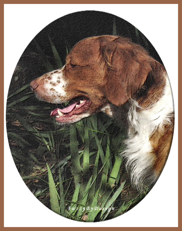 dsc06184 cropped pencil in oval frame sample.jpg