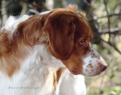 dsc06158 sample natural right profile.jpg