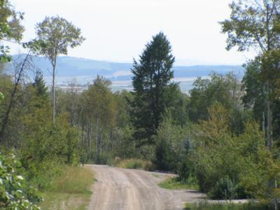 Looking south down the road from new land