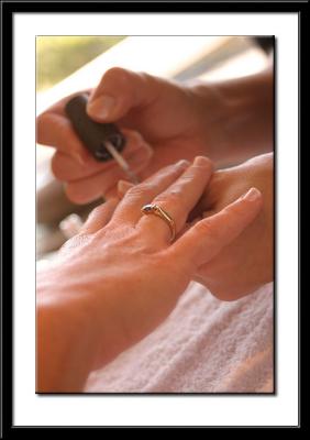 IMG_0350-copy.jpg