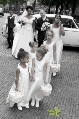 IMG_1456greenleaf.jpg