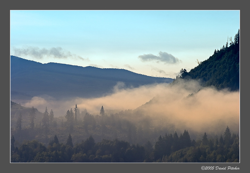 Morning Fog