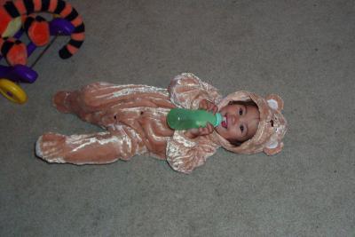 Ava bear (1st costume) almost 18 months