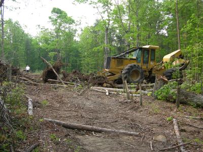 2004-05-10-013.jpg