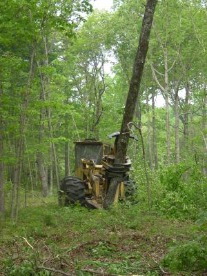 2004-05-10-041.jpg