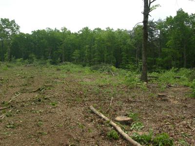 2004-05-11-044.jpg