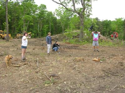 2004-05-16-001.jpg