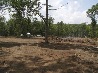 2004-06-18-017.jpg