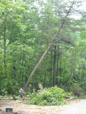 2004-06-26-003.jpg