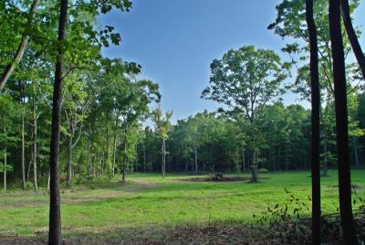 2004-08-15-meadow_dawn.jpg