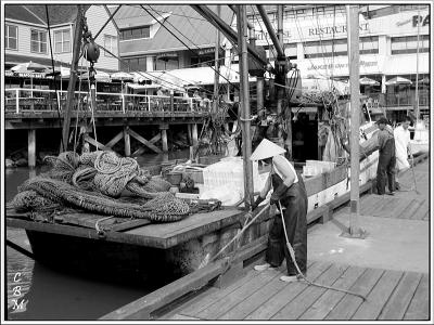 Steveston. B.C. - Fish-sale docks #2