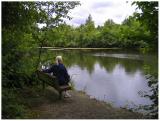 Watching the geese