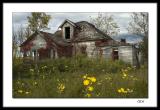 Abandoned (2)