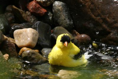 Cooling Off