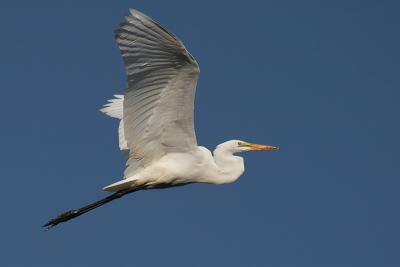 web_CRW_6173.jpg