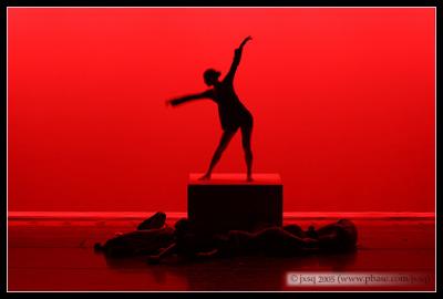 IMG_2945_small.JPG