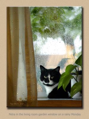 Petra-In-Window.jpg