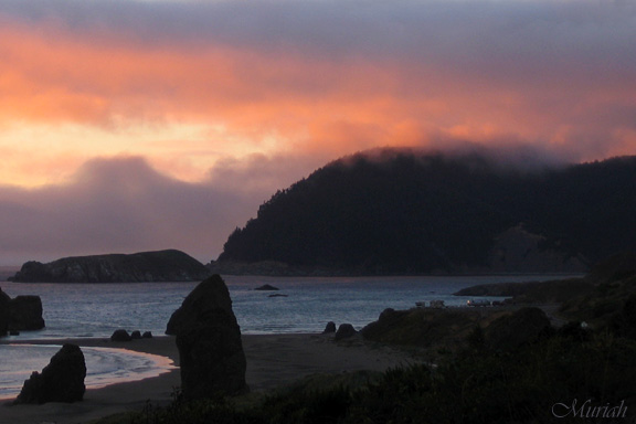 Bright Fog at Cape (08-17-05)