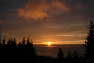 Pacific Overlook