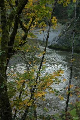 River Fall (10-28-05)