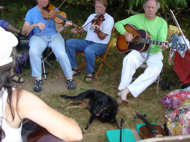 Sugar dog finds the best spot to enjoy the music 096.jpg