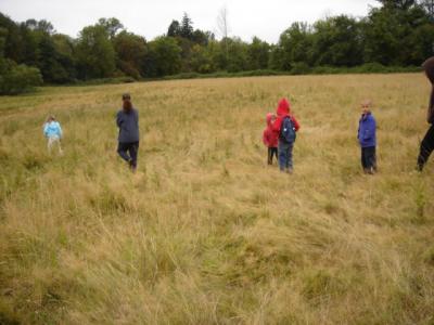 Kids going on a morning explore 369.jpg
