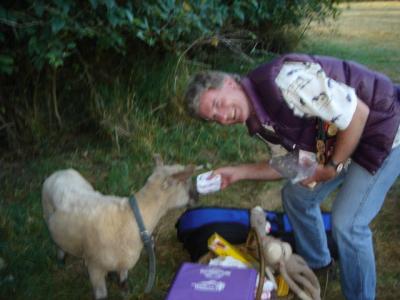 Charlie consults with Mary the lamb 641.jpg