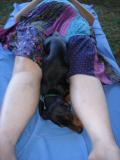 Toby enjoys Randis treatment too.  266.jpg