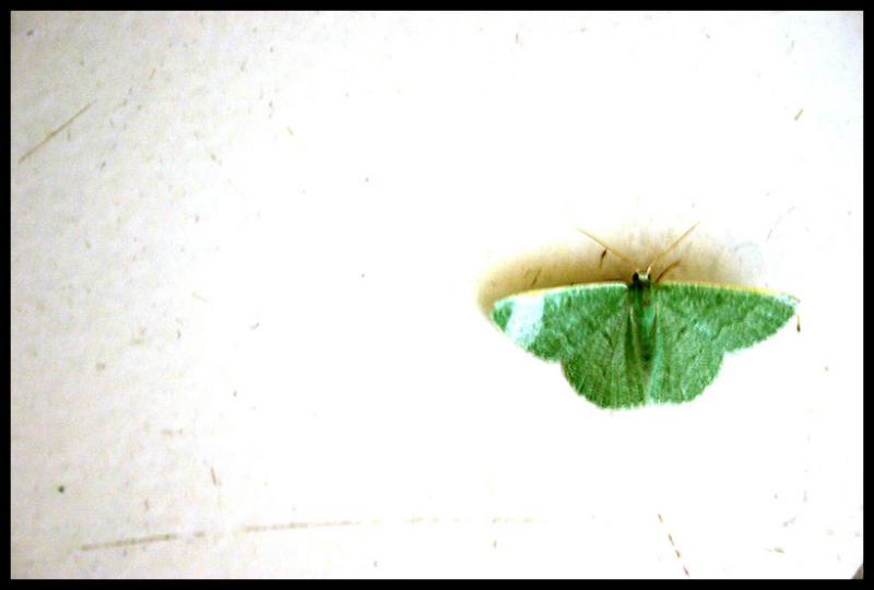 11.05.05