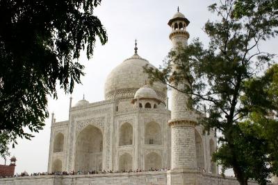 Behind the foliage, Taj Mahal, India