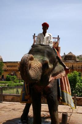 Amer fort, Elephant ride