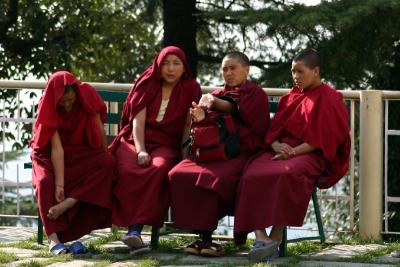 Monks at the garden, Mcleod Ganj