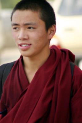 Young monk, Mcleod Ganj