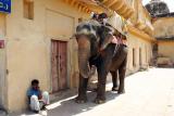 Elephant ride, Amer Fort, Jaipur