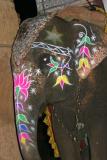 Choki Dhani, Decorated Elephant