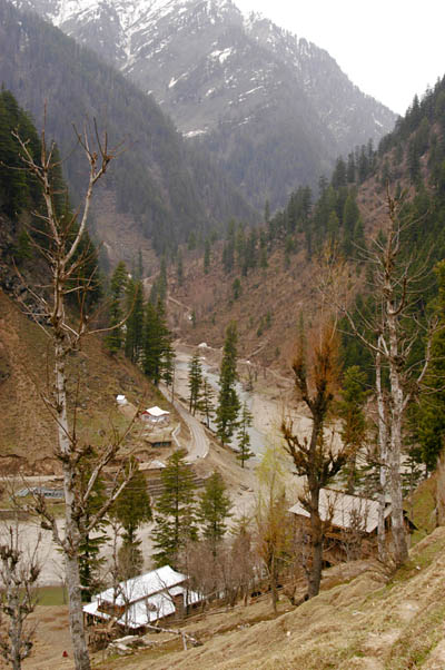 Sharda