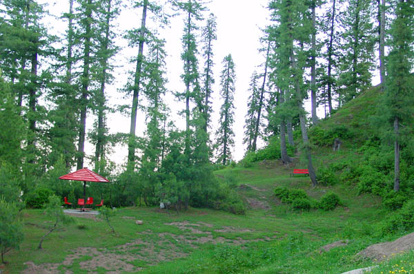 Sudhan Gali