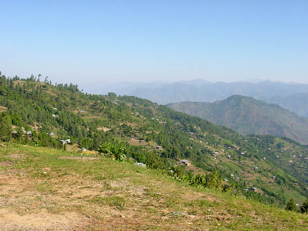 Bagh