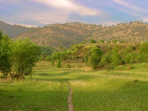 Village path