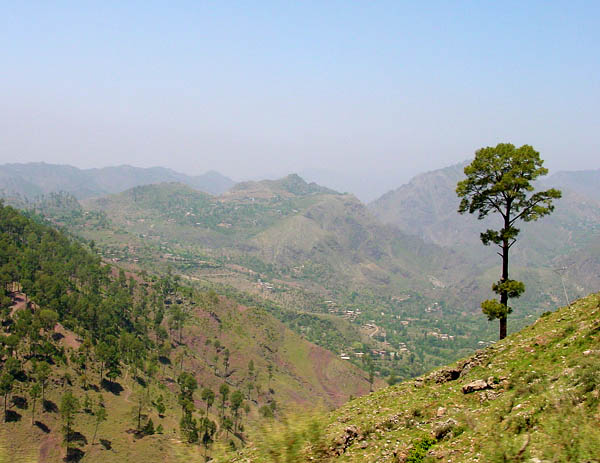 Sarsawa valley
