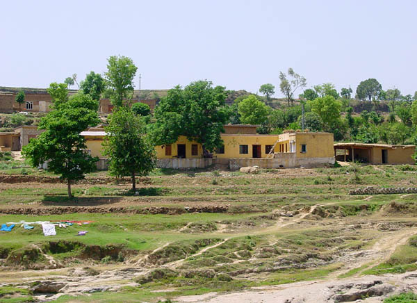 Dhamal