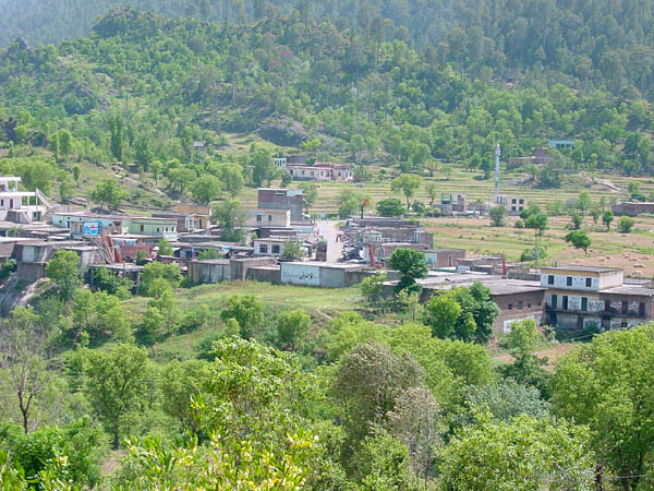 Dungi