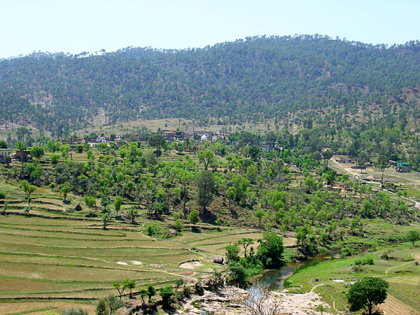 Sehrmandi