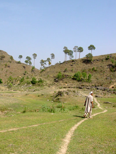 Near Darliya