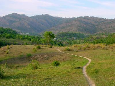 Village path